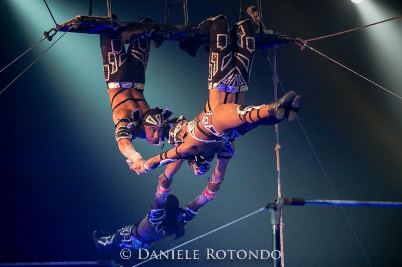 Compagnia Havana barra fissa