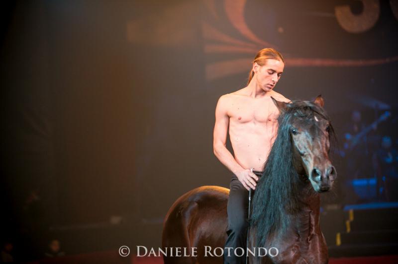 Wild dance, Rudj Bellini