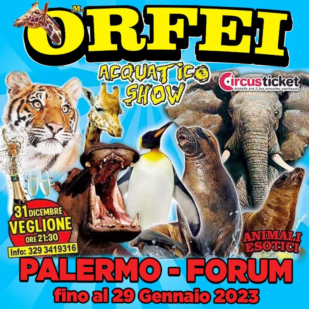 Circo M. Orfei