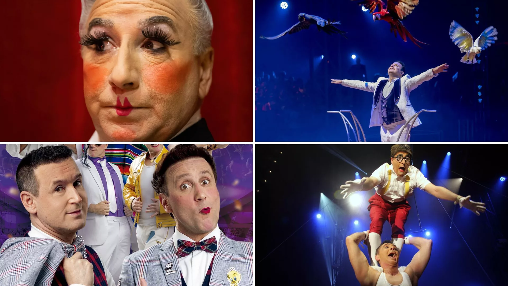 International Circus Festival of Italy 2025: a Latina tre grandi ospiti internazionali